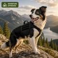 PawJourney™ Adventure Dog Harness